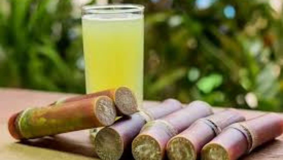 Sweet Power in a Glass: Amazing Facts About Sugarcane Juice