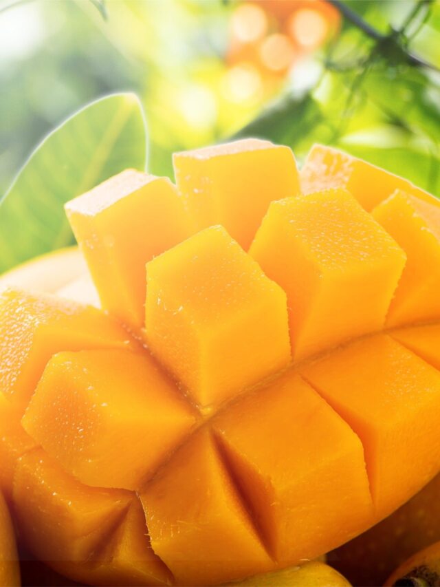 10 Unknown Facts About Mango