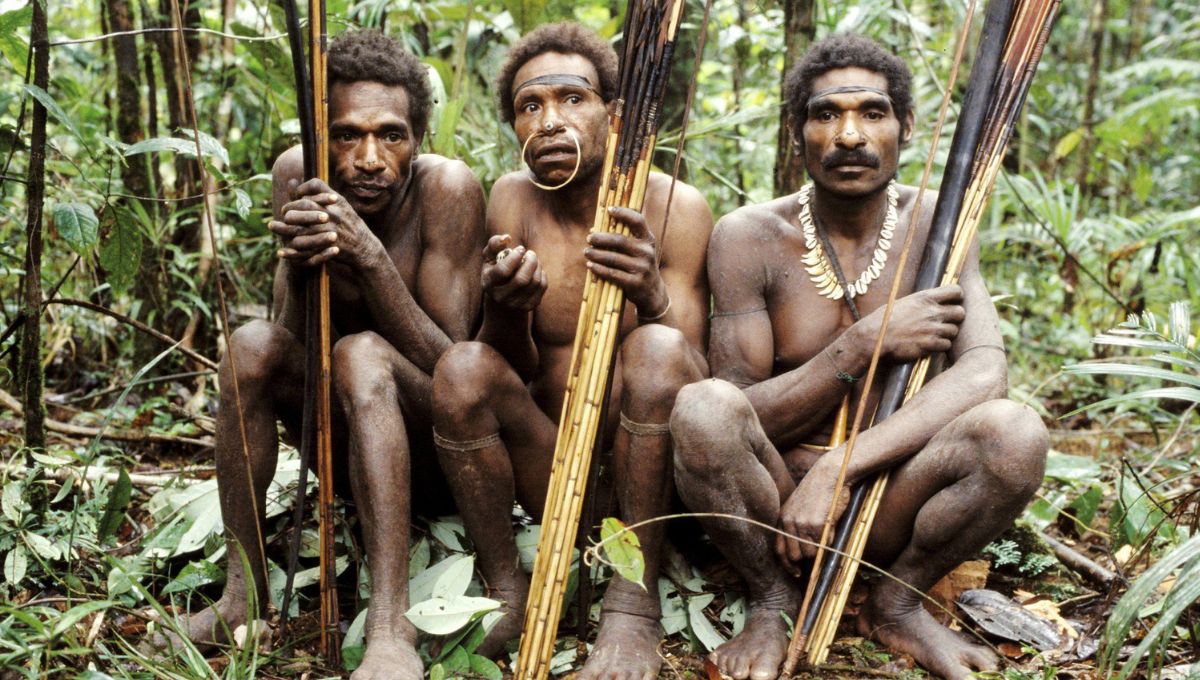 The Korowai Tribe: Masters of the Sky-High Treehouses