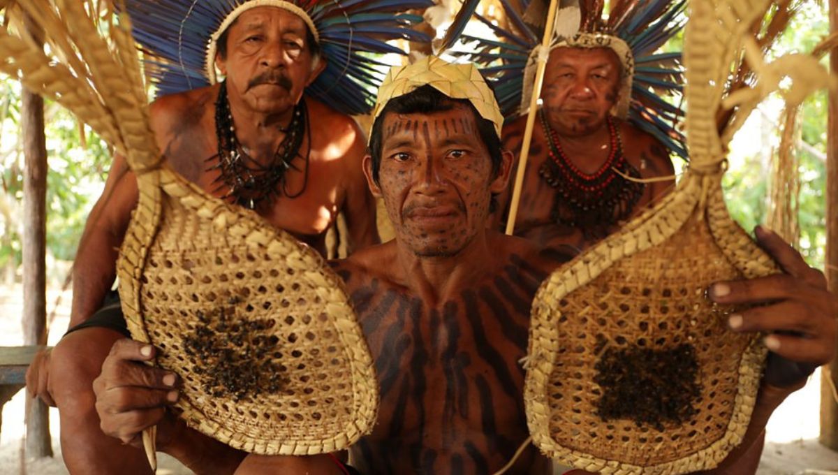 The Satere-Mawe Tribe of the Amazon: The Indigenous Warriors Behind the World’s Most Painful Initiation Ritual