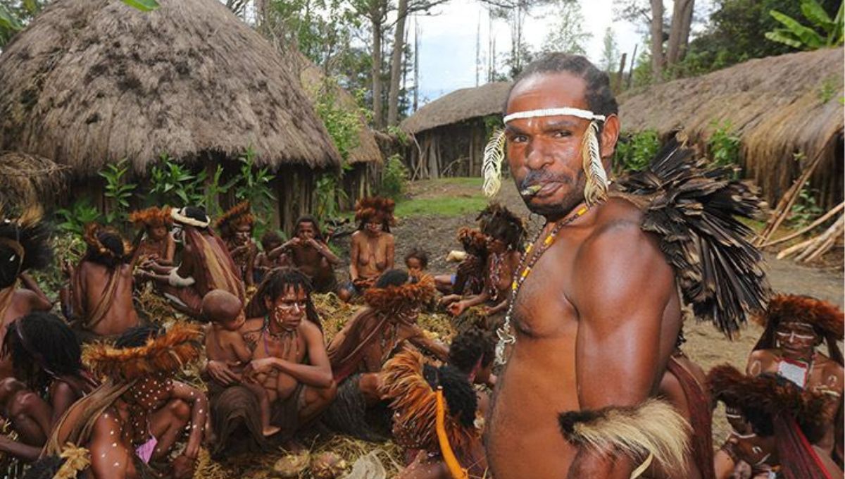 The Dani Tribe of Papua: The Fierce Highland Warriors Preserving an Ancient Culture in Indonesia’s Remote Mountains