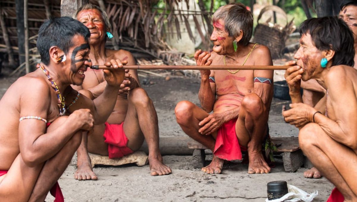 The Yanomami Tribe: Guardians of the Amazon Rainforest Fighting to Preserve an Ancient Way of Life
