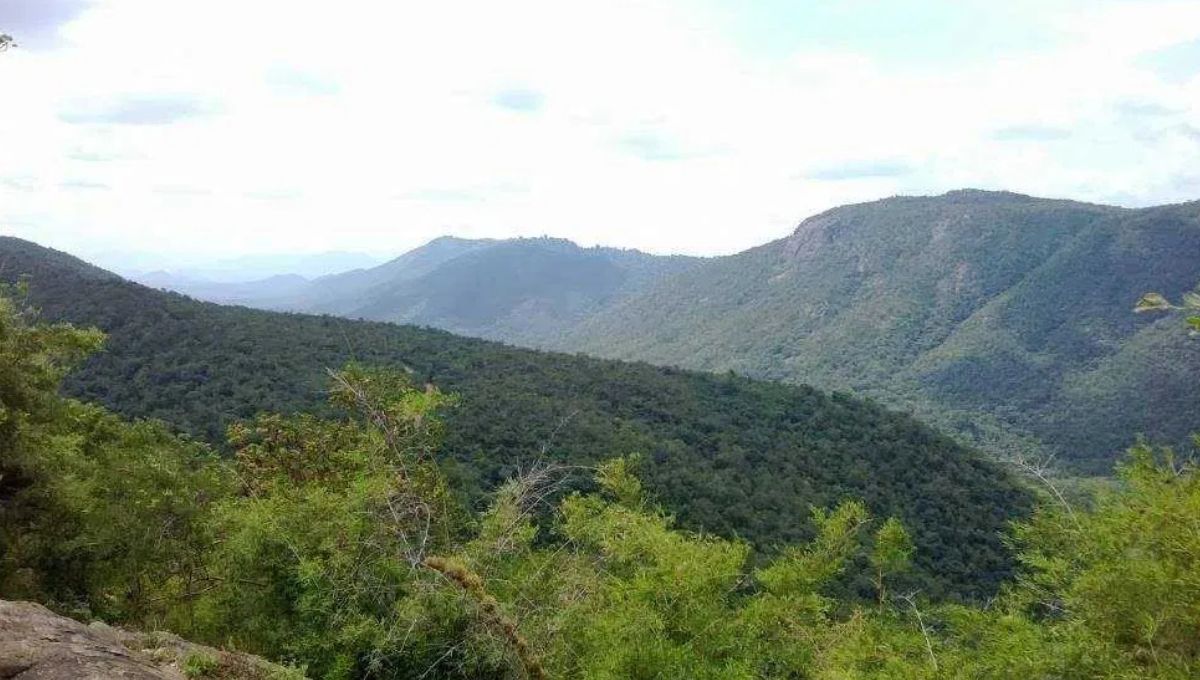 Little England of India: The Hidden Hill Escape Near Bengaluru That Feels Straight Out of the British Countryside